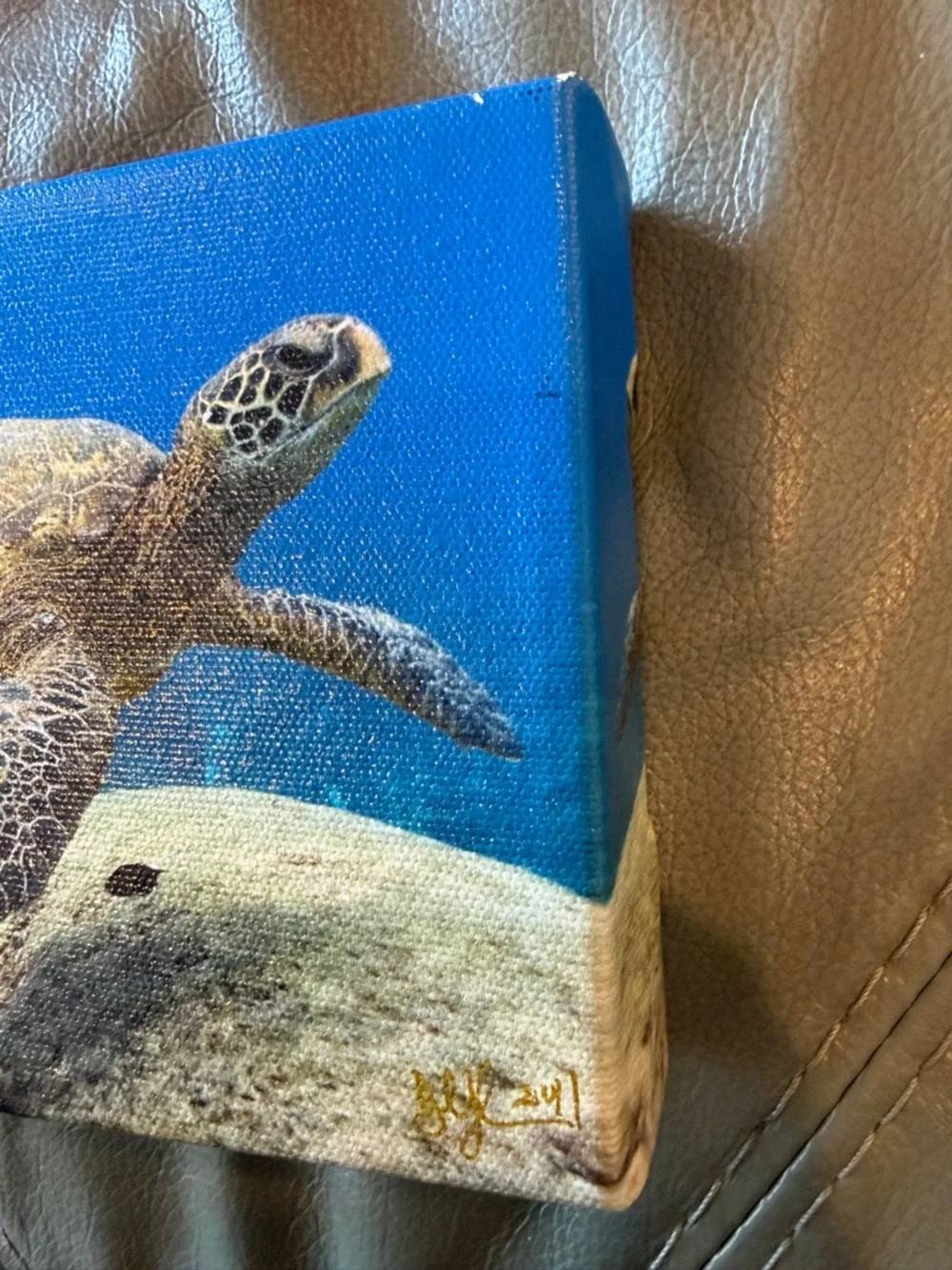 🟣 3/$30 - 7” x 5” Sea Turtle Ocean Canvas Wall Art - Picture 10 of 10